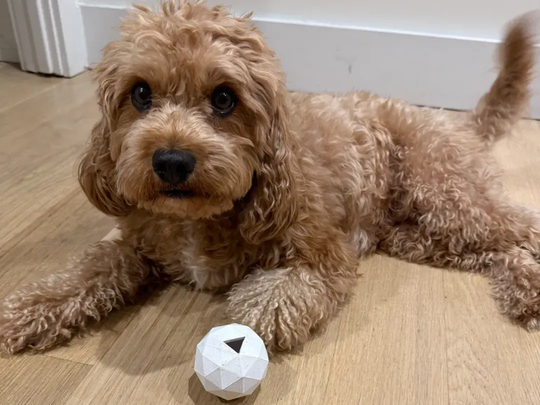 Dog Treat Puzzle Ball – for Small/Medium Dogs